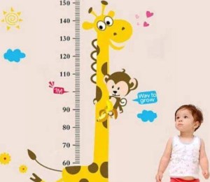 身高体重测量仪怎样科学地测量体重身高