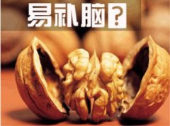 儿童智力测试仪-多吃这些食物可提高智力